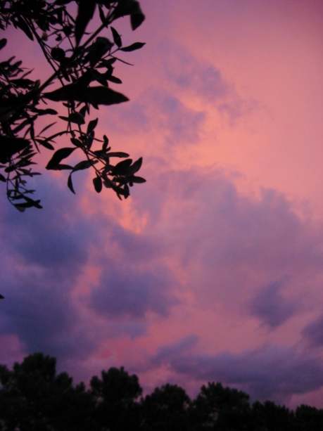 Capalbio sunset